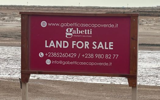 Terreno con Progetto